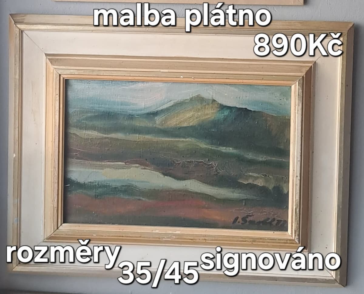 Obraz malba na plátně krajina signováno - 1